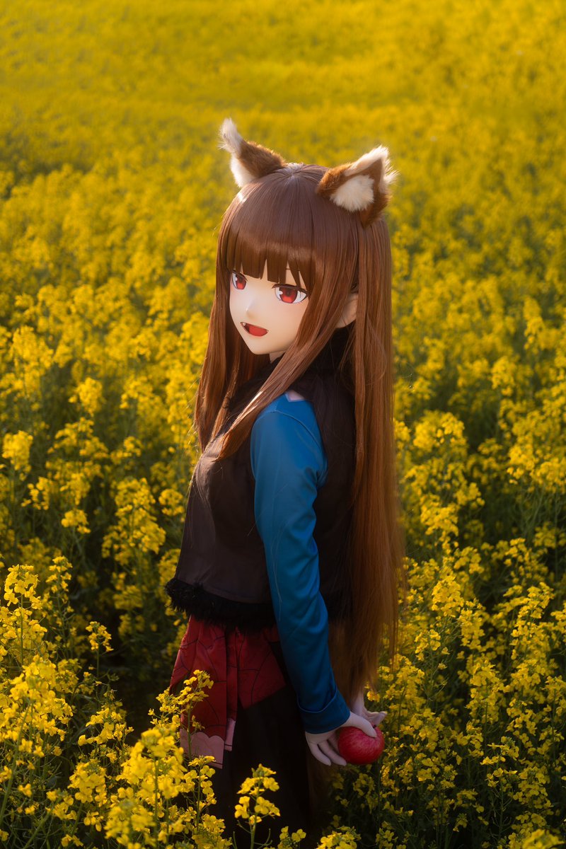 是贤狼赫萝～ 📷：<a href="/Duqihuan/">渡七欢</a>