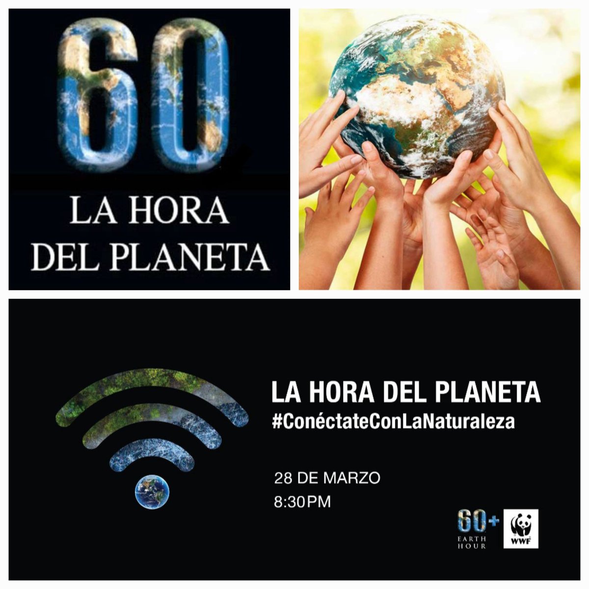 MedioAmbiente EC tweet media