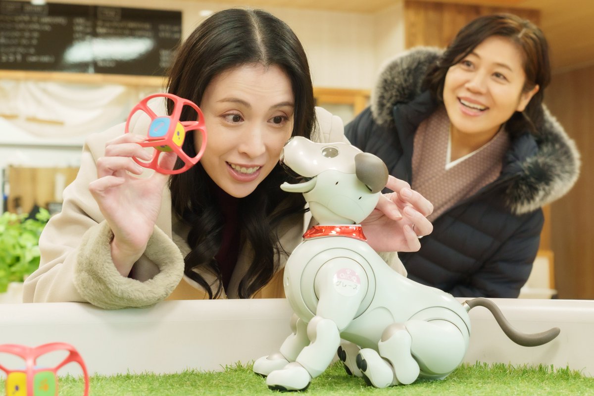 tokaitv_dodra's tweet image. #最高のオバハン中島ハルコ スピンオフ～大谷家の大騒動！in愛知・幸田町～
いよいよ本日13時放送（東海エリア）！
TVerで見逃し配信もありますので、全国津々浦々の大谷Fanの皆様もぜひ！
#合田雅吏 #雛形あきこ #青木さやか #池田朱那 #糸瀬七葉 #岩永ひひお #蕨野友也 #松本まりか #大地真央