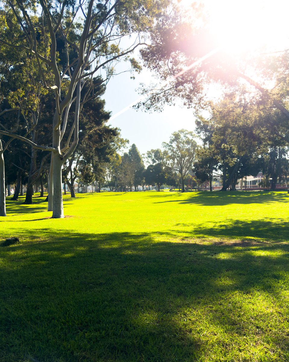 Good morning and Buenos Dias Chula Vista. Going to be a nice weekend.