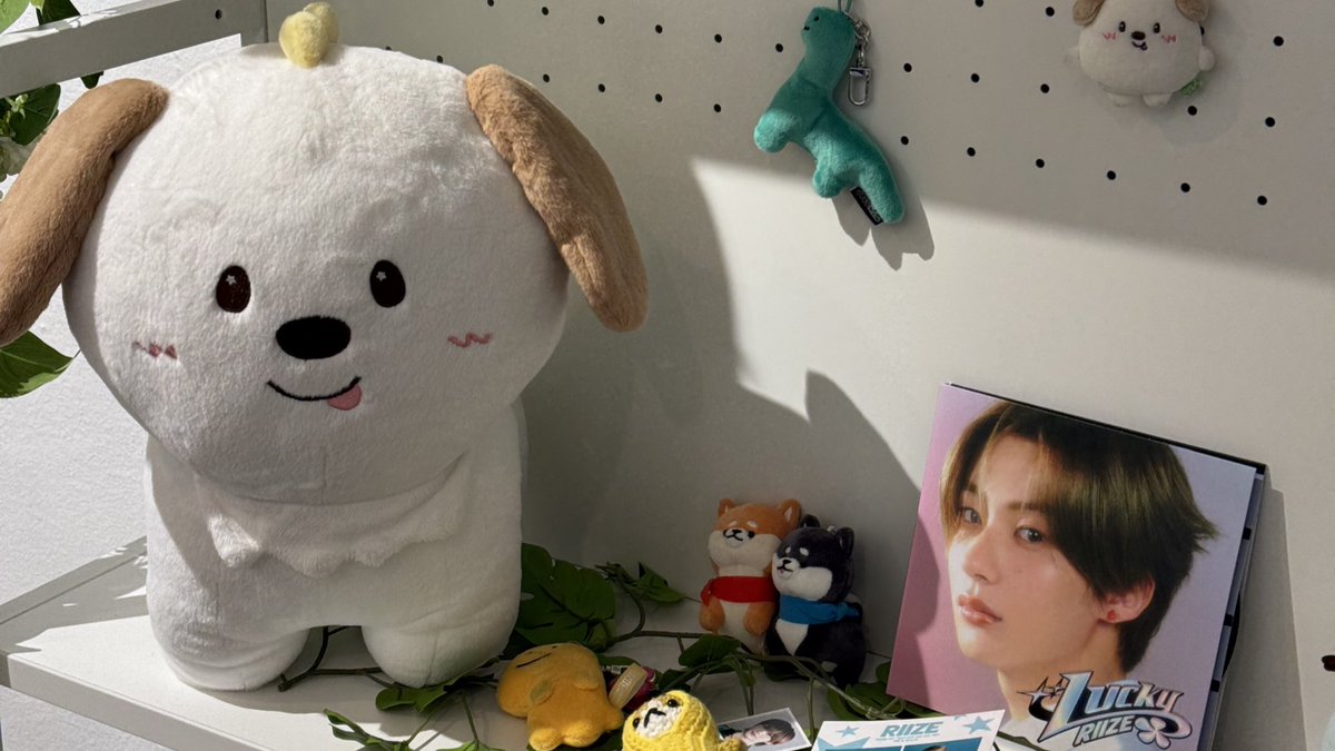 꿈같았던 톤톤절🥹
내년에 또 만나 、、🪽🩵👼
#문쪼꿈열어_앤톤생일이야