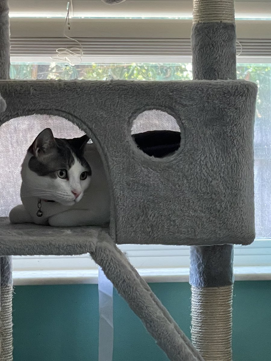 Brett Hannum tweet media