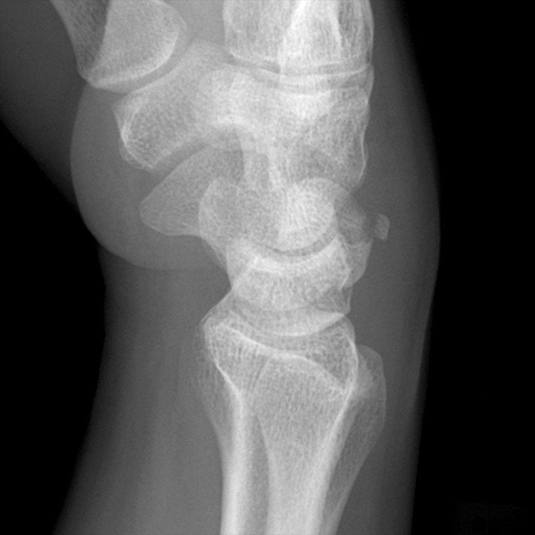 Radiology Masterclass tweet media