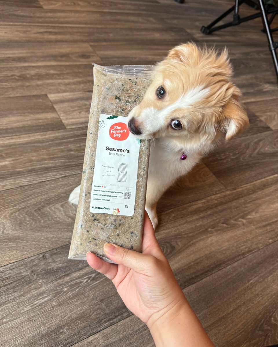 This little guy is taking "Open, sesame" very literally. 

Get 50% off your first box: thefarmersdog.visitlink.me/gVGLGT