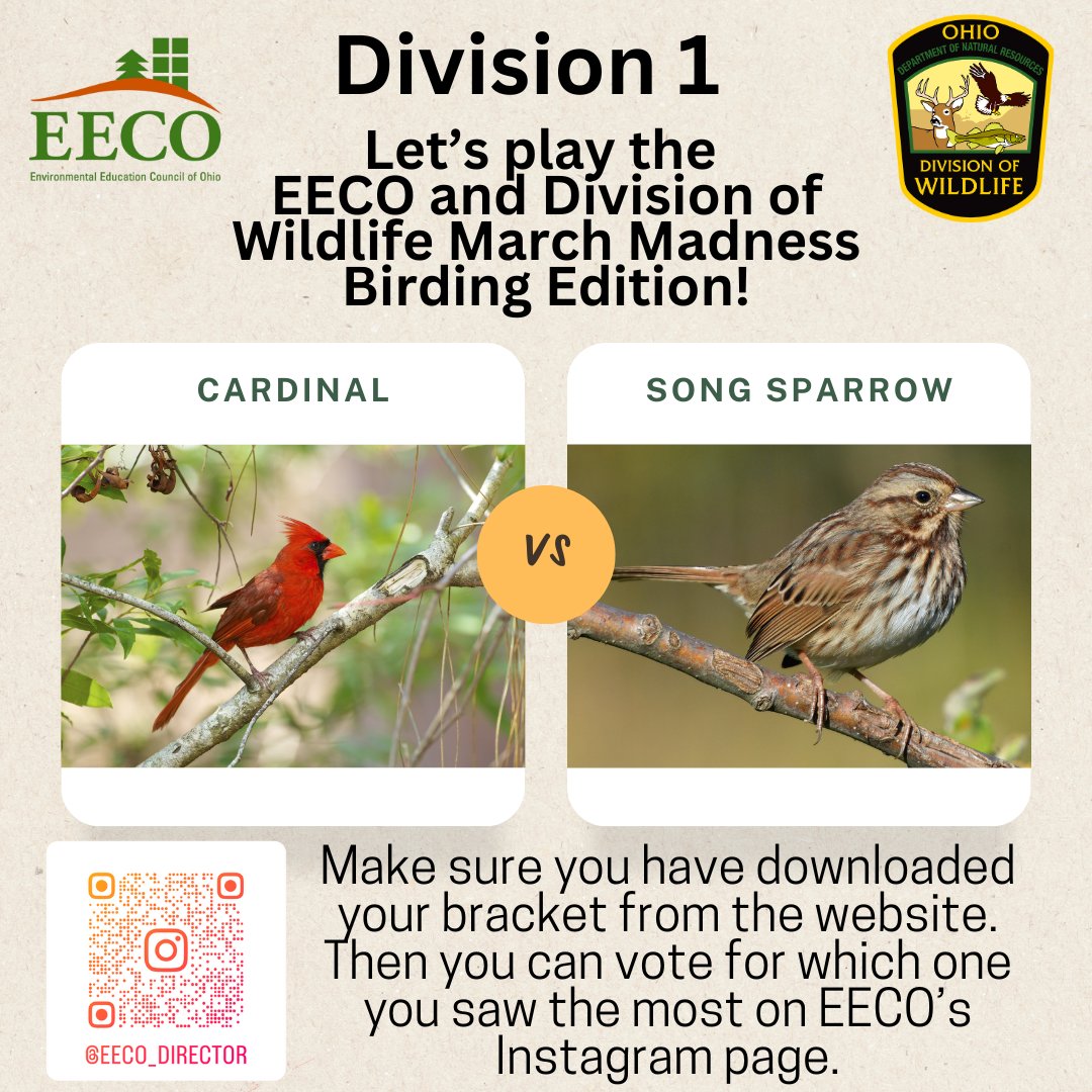 directorEECO's tweet image. Play along and let us know which bird you saw more by voting on our Instagram page. 
To learn about our March Madness Bird Brackets, go to: eeco.wildapricot.org/page-1786411

#getoutside #marchmadnessbirdbracket #BirdingFun