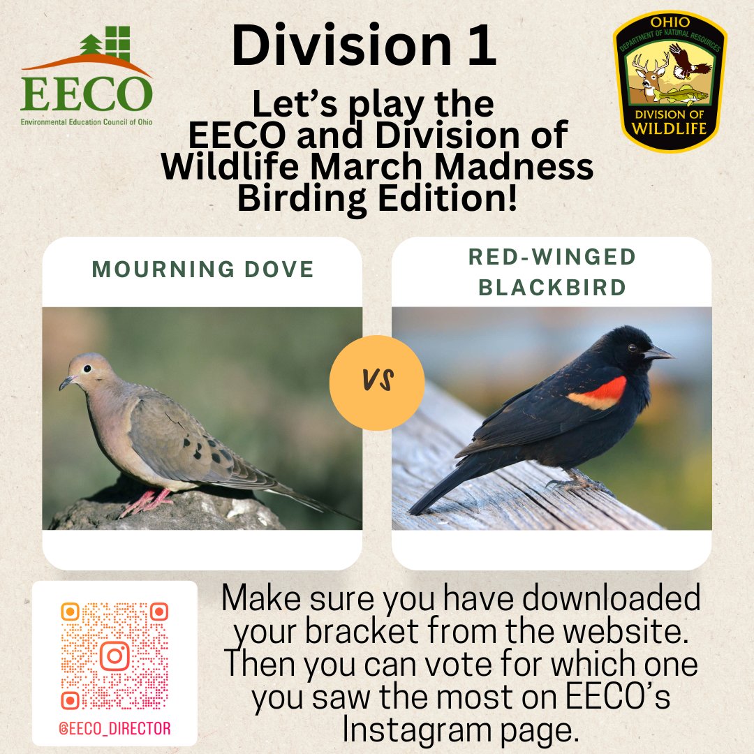 directorEECO's tweet image. Play along and let us know which bird you saw more by voting on our Instagram page. 
To learn about our March Madness Bird Brackets, go to: eeco.wildapricot.org/page-1786411

#getoutside #marchmadnessbirdbracket #BirdingFun