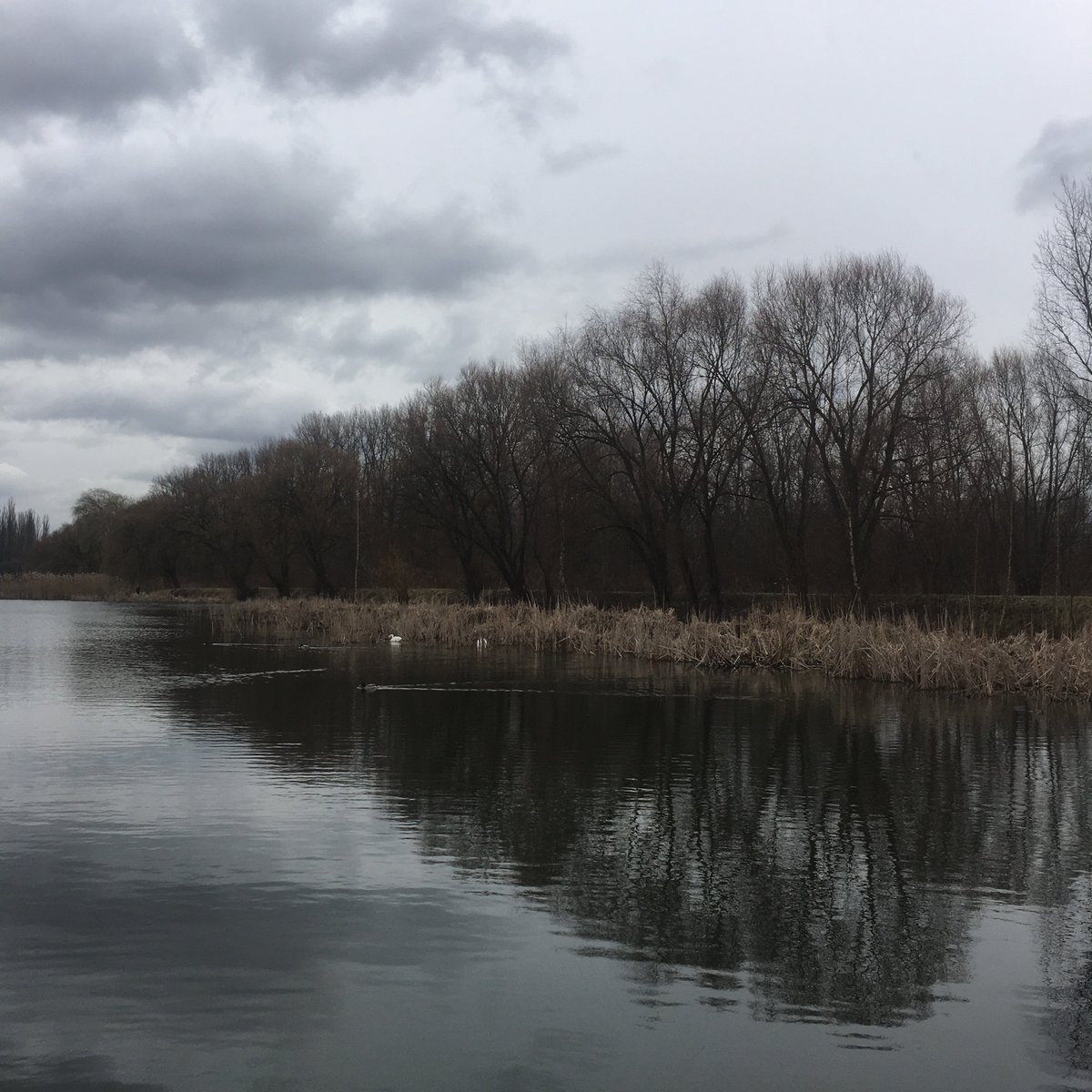 MachuraJerzy's tweet photo. #NaturePhotography
Zmierzch... na wodzie 🌊 🦢 🦢 🌊 🌚
#landscape #dusk #wiosna #staw #spring
📷/my/ https://t.co/TBcMvBfmD9