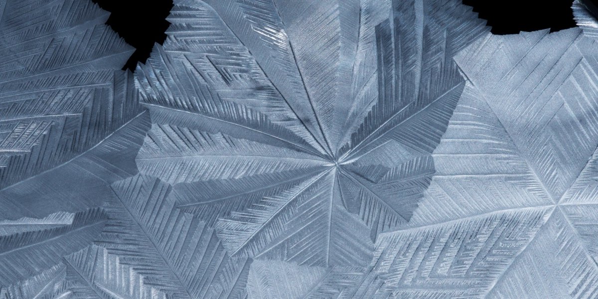 PacificDomes's tweet photo. 🤯 FUN FACT 

Did you know Pacific Domes were inspired by nature's most efficient patterns? Honeycomb + Snowflake + Nautilus Shell = DOME PERFECTION! Nature knows best, we just made it livable! 

#PacificDomes #SacredGeometry #Snowflake #NautilusShell #Honeycomb https://t.co/ixFMACTiSH