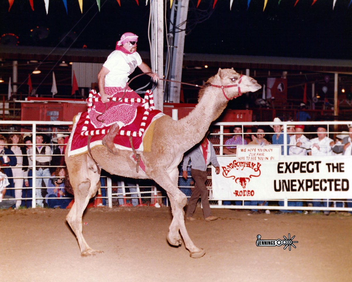 badcorodeo's tweet image. Chuck Kinney was a late entry at the Walker County Fair &amp;amp; Rodeo barrel racing, but was disqualified when his horse laid down after turning the 2nd barrel and refused to get up. (photo - Jennings Rodeo Photography) #ExpectTheUnexpected