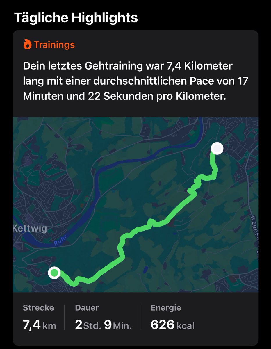 تمشية الغابات ممتعة بشكل!