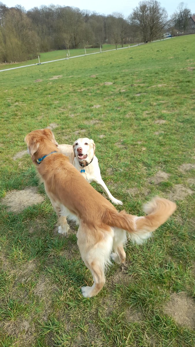 Hatte heute viel Spaß !!!