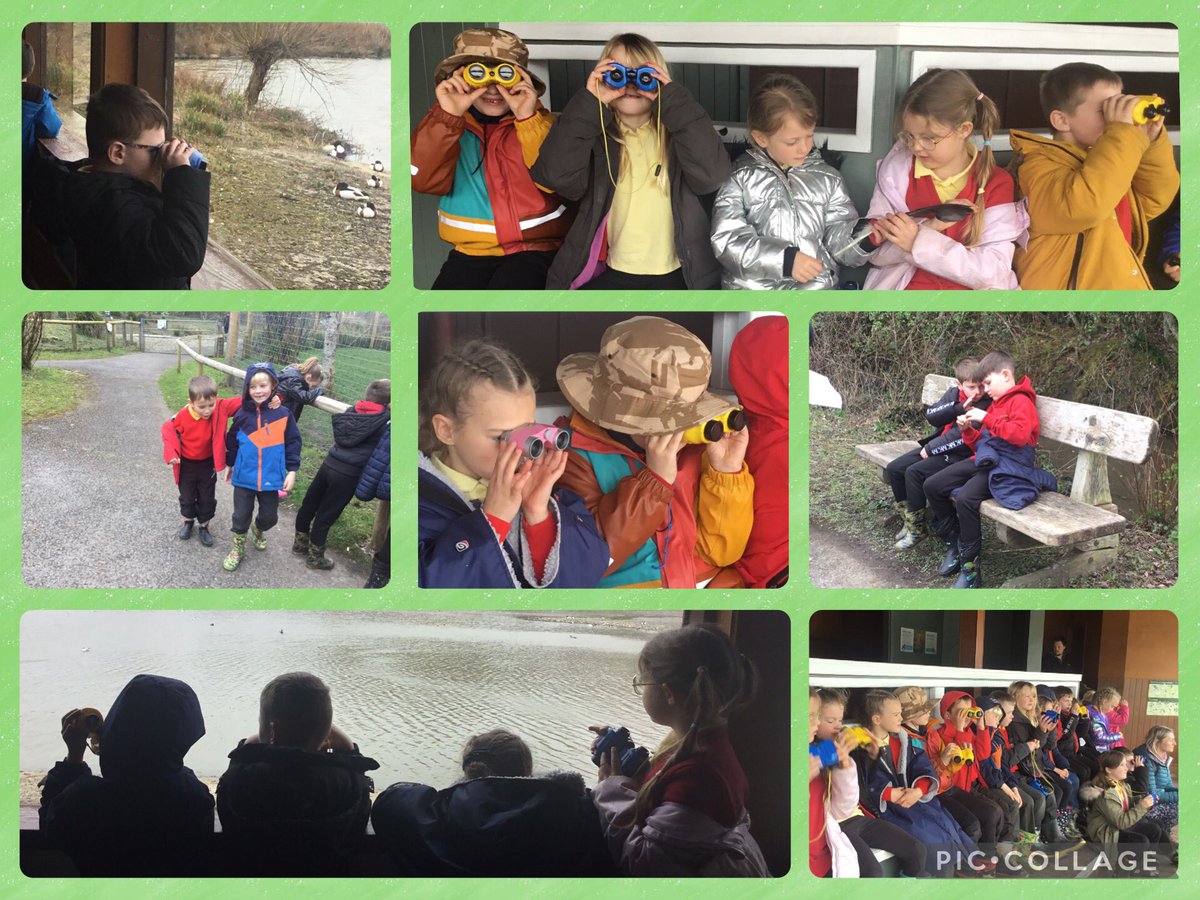 We had a lovely trip to <a href="/WWTLlanelli/">WWT Llanelli Wetland Centre</a> 🦆We learned about the problem with plastics in our environment. Had a lovely walk to explore the wetlands, learned about the pretty flamingoes 🦩&amp; even got to use the binoculars in the bird watching hide. #ethicalinformedcitizens <a href="/EcoCgi/">CGI-Eco</a>