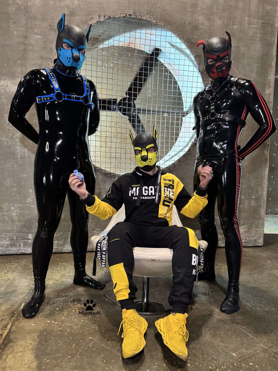 🐾 𝕄𝕒𝕩 𝕡𝕦𝕡 🐾 MlatexM (@mlatexm) on Twitter photo 