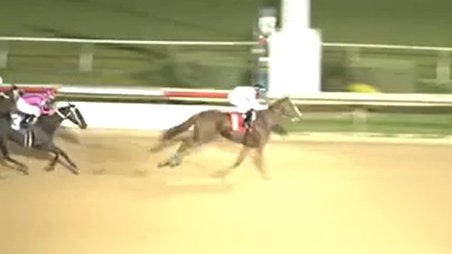 Eddie Woods Stables (@eddiewoods2yos) on Twitter photo EWS grad GLOBAL ALLURE (3f Global Campaign / <a href="/WinStarFarm/">WinStar Farm</a>) follows up her maiden win with a strong 2-length allowance victory at <a href="/SHRP/">Sam Houston Race Park</a>.
Congrats to #BrandywineFarm, #BlackHawkStable, <a href="/GustafsonRacing/">Austin Gustafson</a>, and <a href="/JockDeShawn/">DeShawn Parker</a>!
REPLAY▶️bloodhorse.com/horse-racing/r…. EWS grad GLOBAL ALLURE (3f Global Campaign / <a href="/WinStarFarm/">WinStar Farm</a>) follows up her maiden win with a strong 2-length allowance victory at <a href="/SHRP/">Sam Houston Race Park</a>.
Congrats to #BrandywineFarm, #BlackHawkStable, <a href="/GustafsonRacing/">Austin Gustafson</a>, and <a href="/JockDeShawn/">DeShawn Parker</a>!
REPLAY▶️bloodhorse.com/horse-racing/r….
