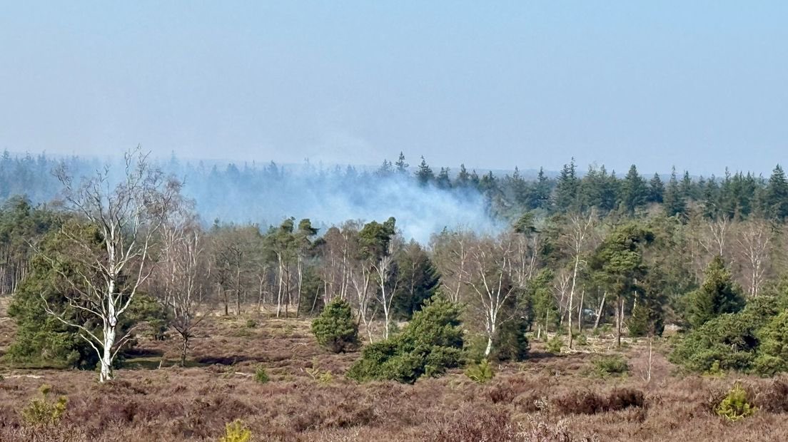 Grote bosbrand op Sallandse Heuvelrug