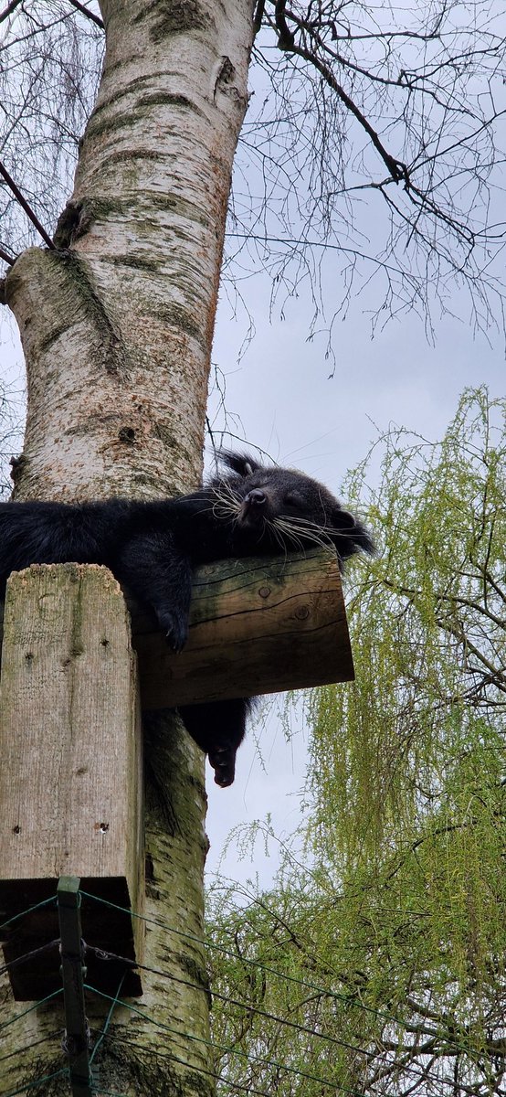 Positievelaar's tweet photo. Wandeling van 6 km en lunch met een vriendin bij #BestZoo. Was een hele fijne dag!🥰 #GoodEnergy https://t.co/UdKEcNcOda