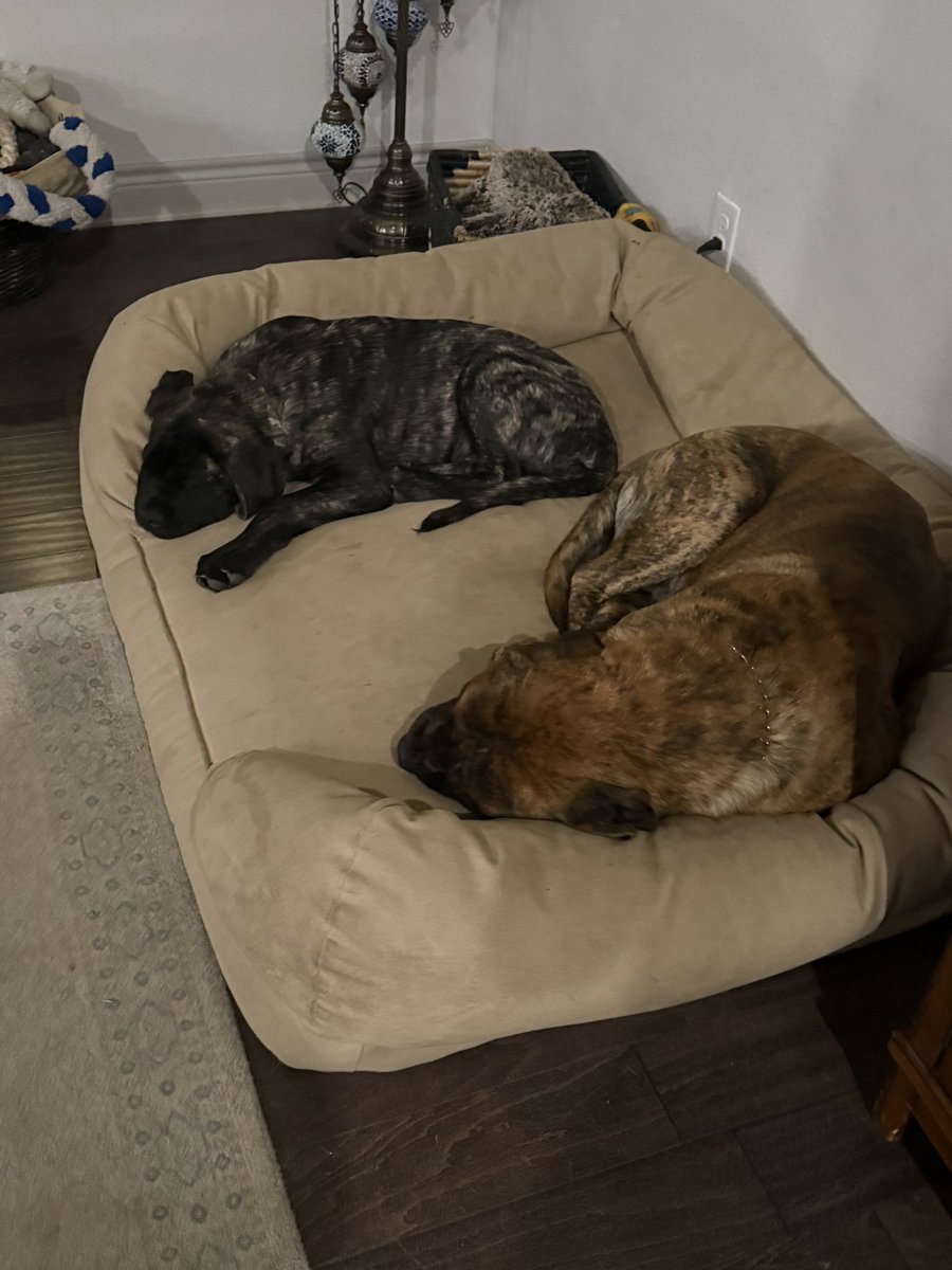 Dustin Rhodes tweet media