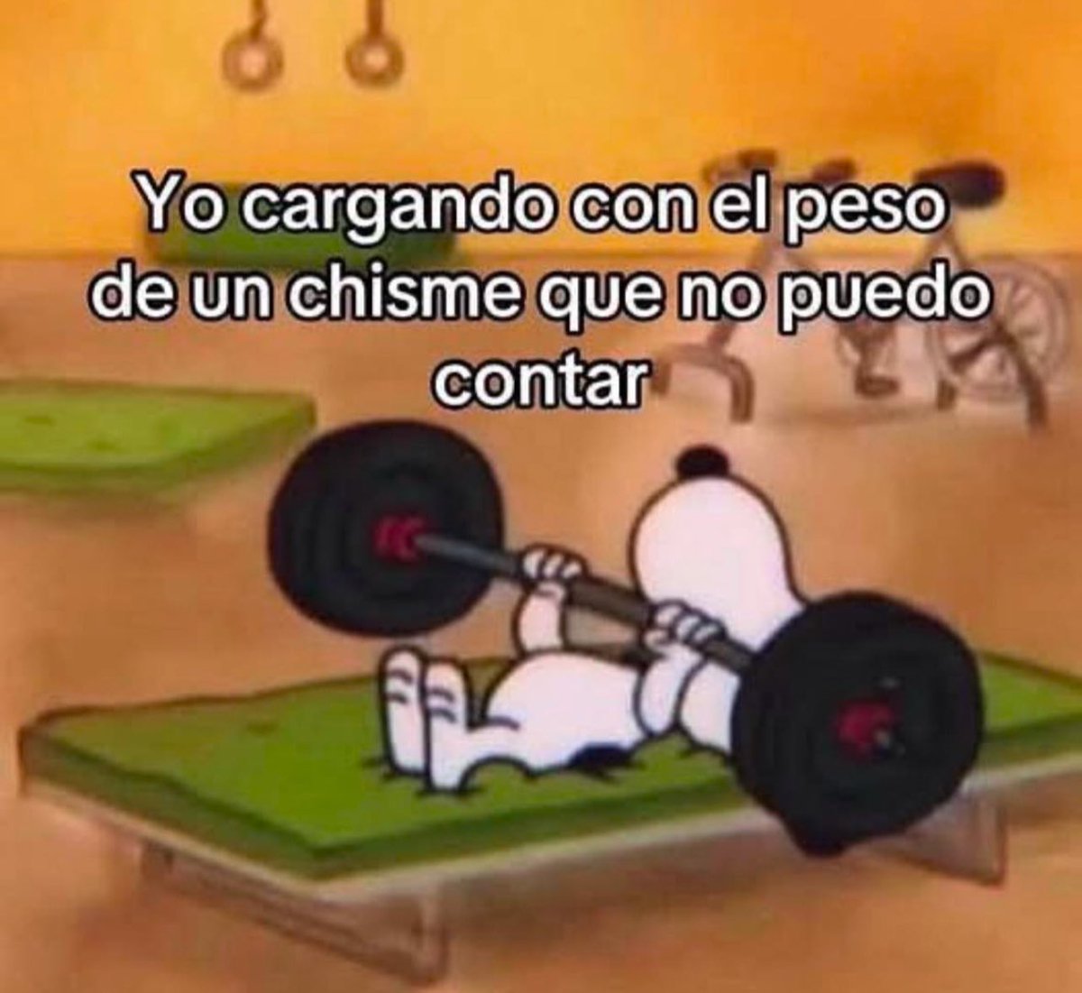 En modo fit.