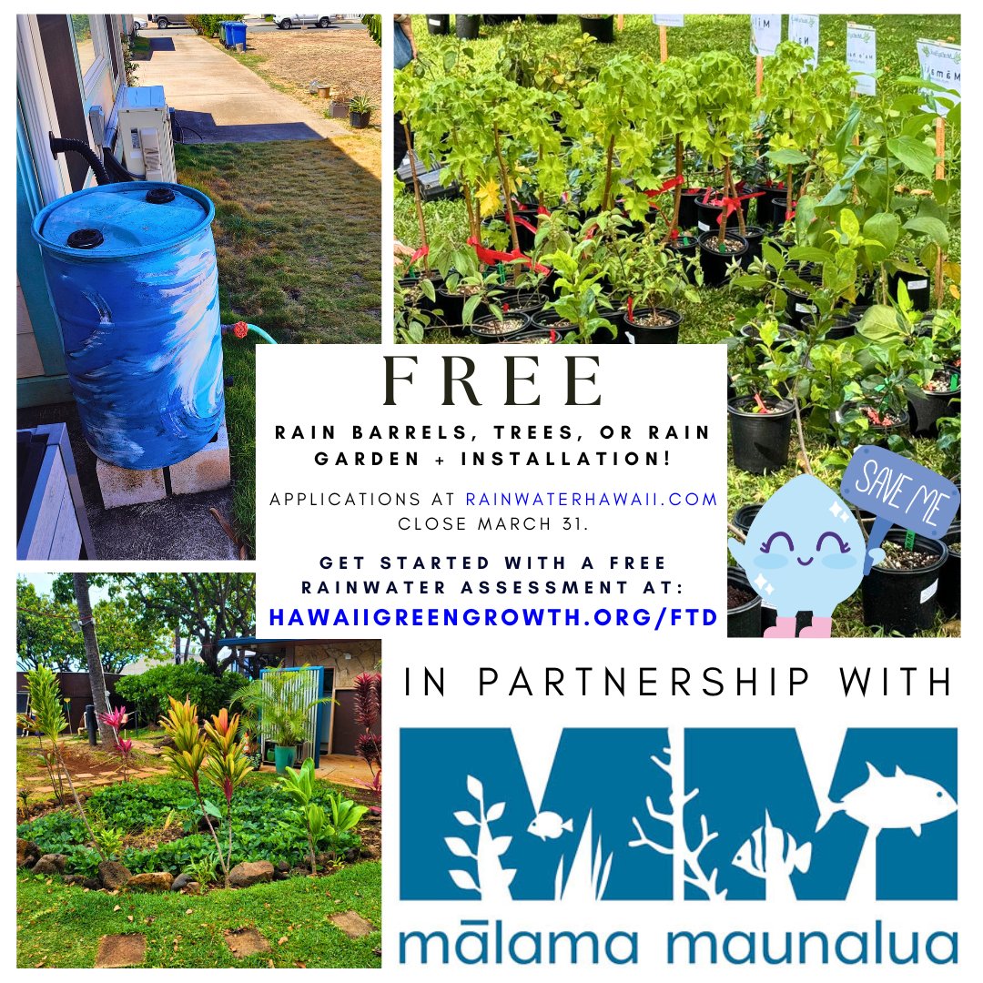 🎊Celebrate World Water Day 🌊 by booking a FREE rainwater assessment today!💧