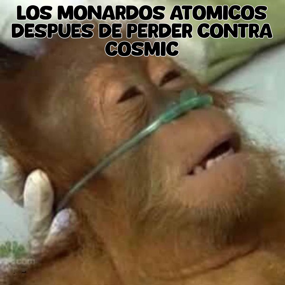 Cosmic Stars tweet media