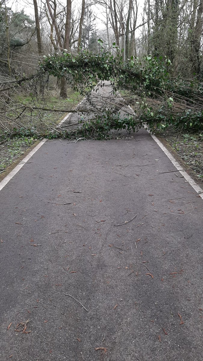 Lee2Sea: A Unique Multipurpose Active Travel Route tweet media