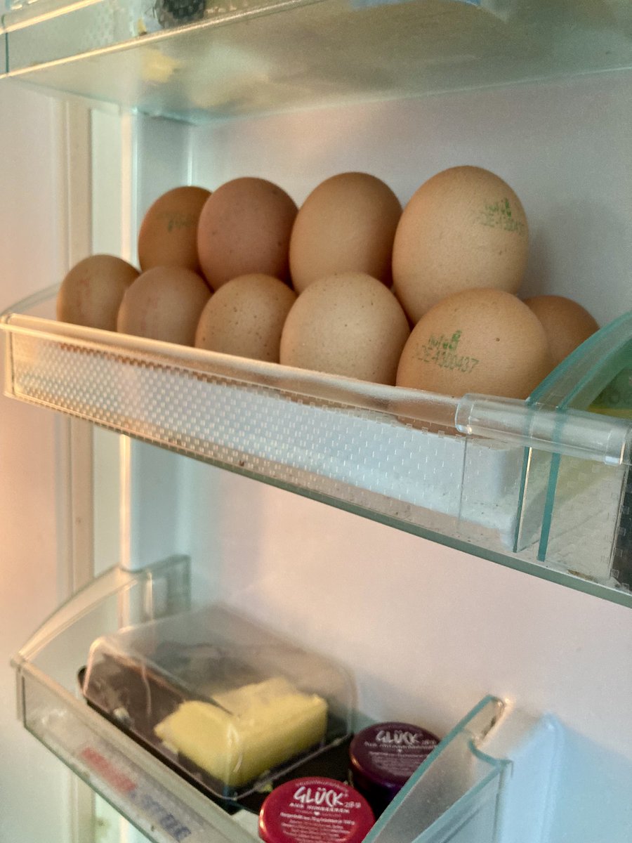 Oschn's tweet image. I have eggs, beautiful eggs, the best eggs ever. And I have big eggs, bigger eggs than anyone else. Supersized eggs. So, so big. And lots of them. And they were cheap, very affordable.