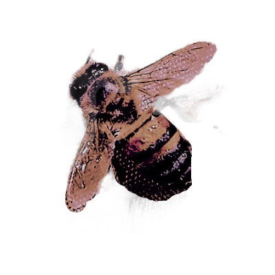 * 𝗱͟𝗮͟𝗻͟𝗶͟𝗲͟𝗹͟𝗹͟𝗲 . tweet media