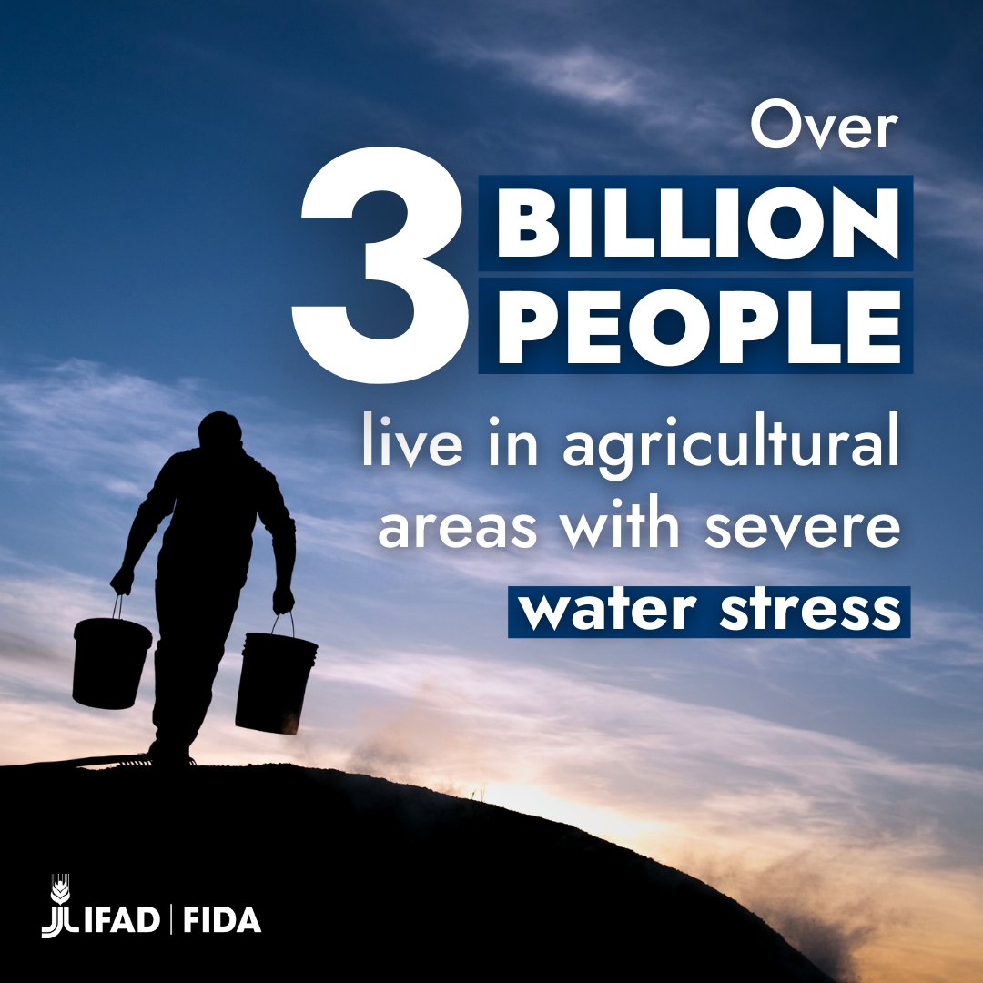 Small-scale farmers need reliable water sources for irrigation, livestock, and personal use.

When these needs are unmet, food insecurity rises, crop yields diminish, and livestock health deteriorates.

💧 We must act now to secure water and protect livelihoods. #WorldWaterDay