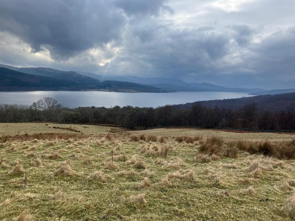 Duncan Wilson (@duncantwilson) on Twitter photo 