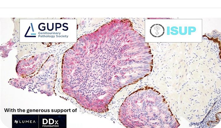 Maria Rosaria Raspollini tweet media