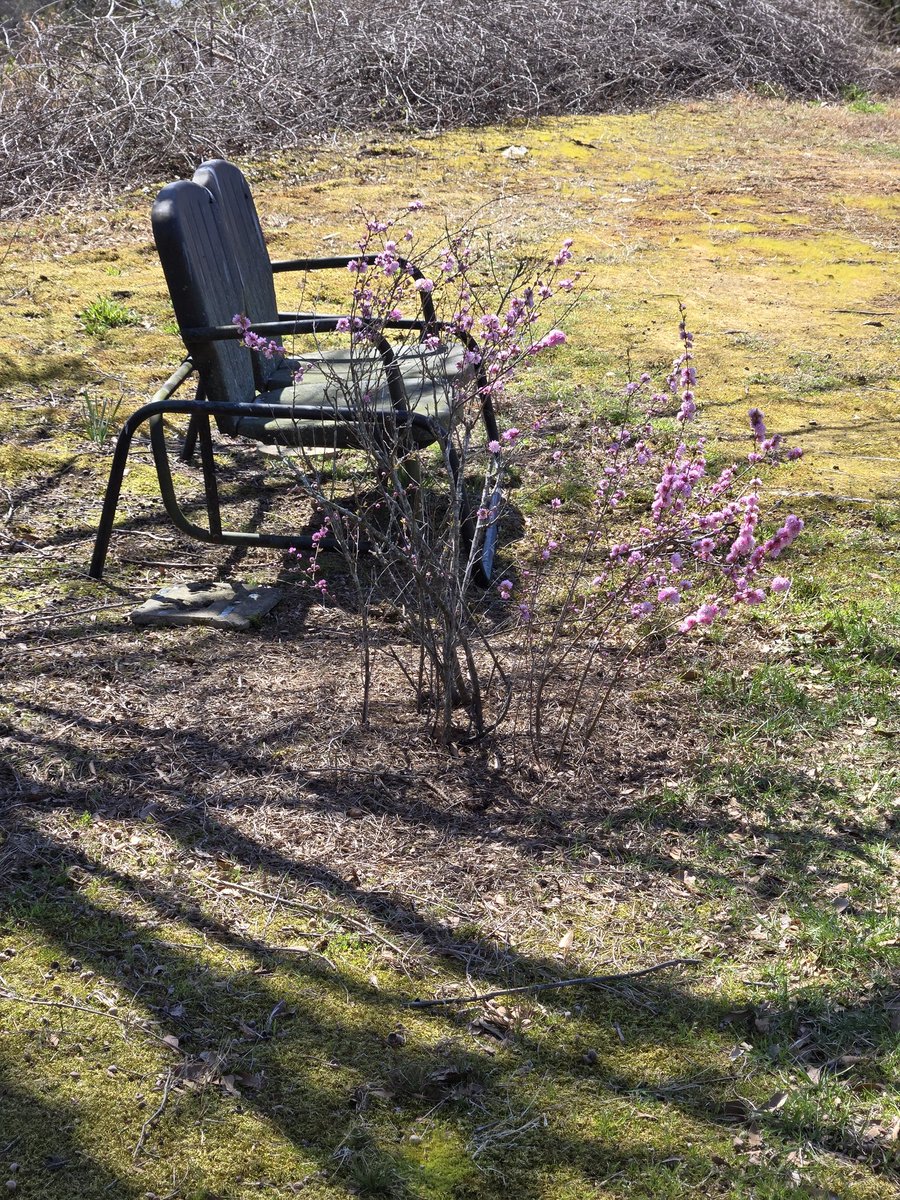 It's days like today...hard work outside, making things better, taking care of your property...that when I stop to rest &amp;see this glider&amp; flowers--- memories of my grandparents flood my brain. These were theirs &amp;have traveled to every house over the last 30 years. Always w/ me!