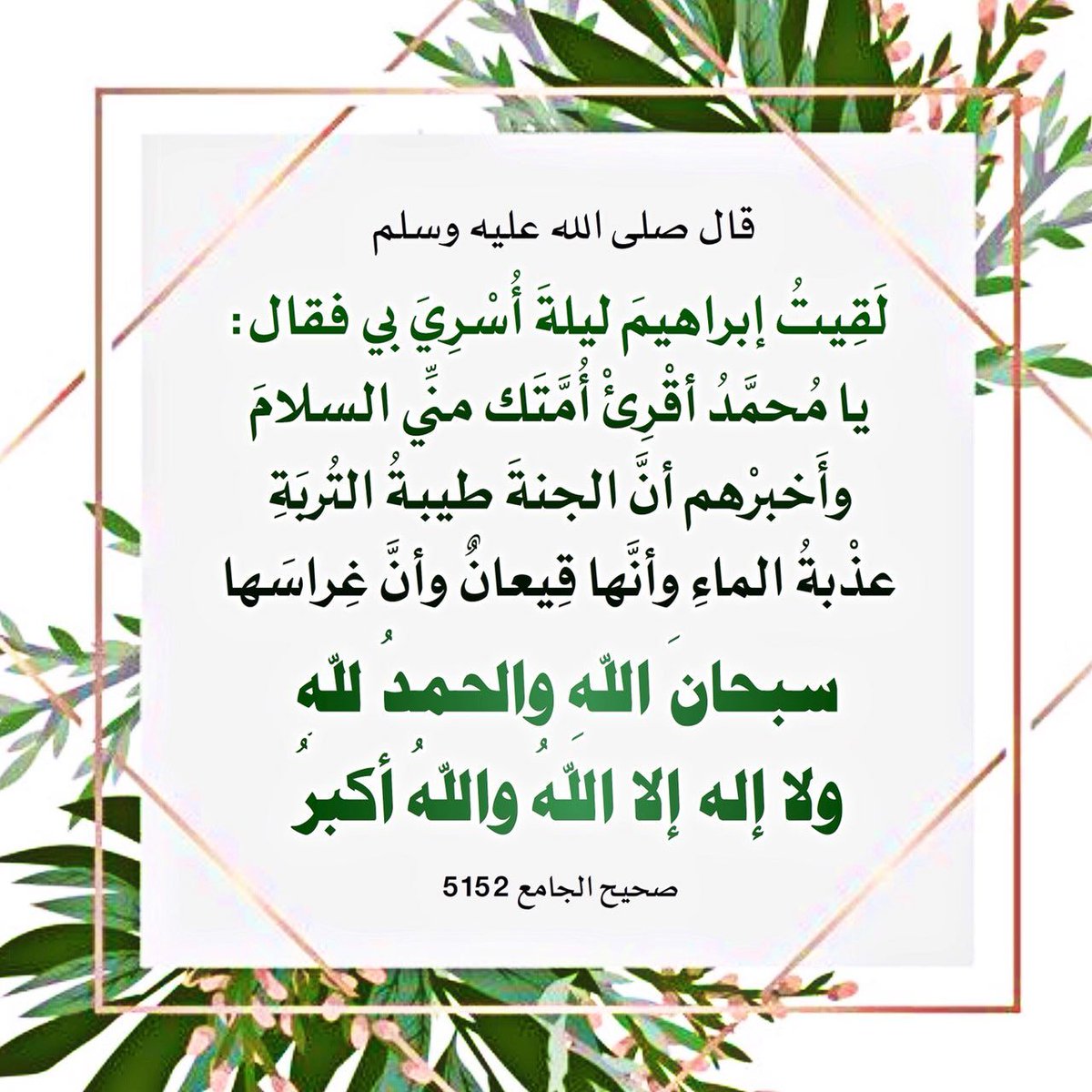 هل أكثرت الغرس ؟ 🌱