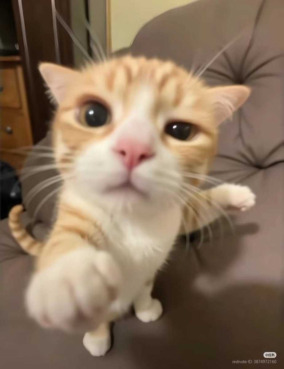 با زبون خوش که عیدی ندادی این سری با مشت اومدم عیدی بگیرم ازت.