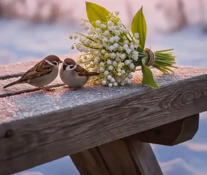أوراق التوت 🕊💐. tweet media