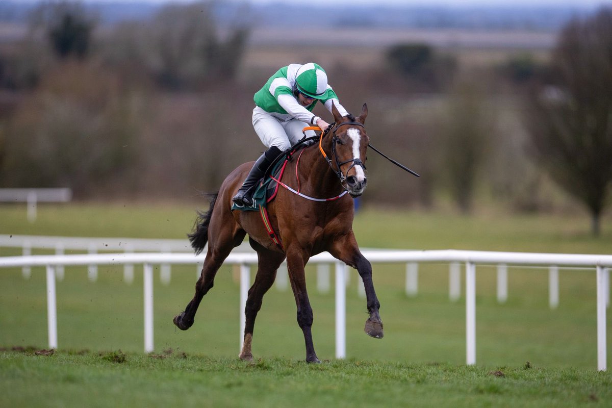 NavanRacecourse's tweet photo. BURROWS DRIVE takes the bumper under Finny Maguire for trainer @jpdempseyracing. Impressive 🔥 https://t.co/y2u1ibEiez