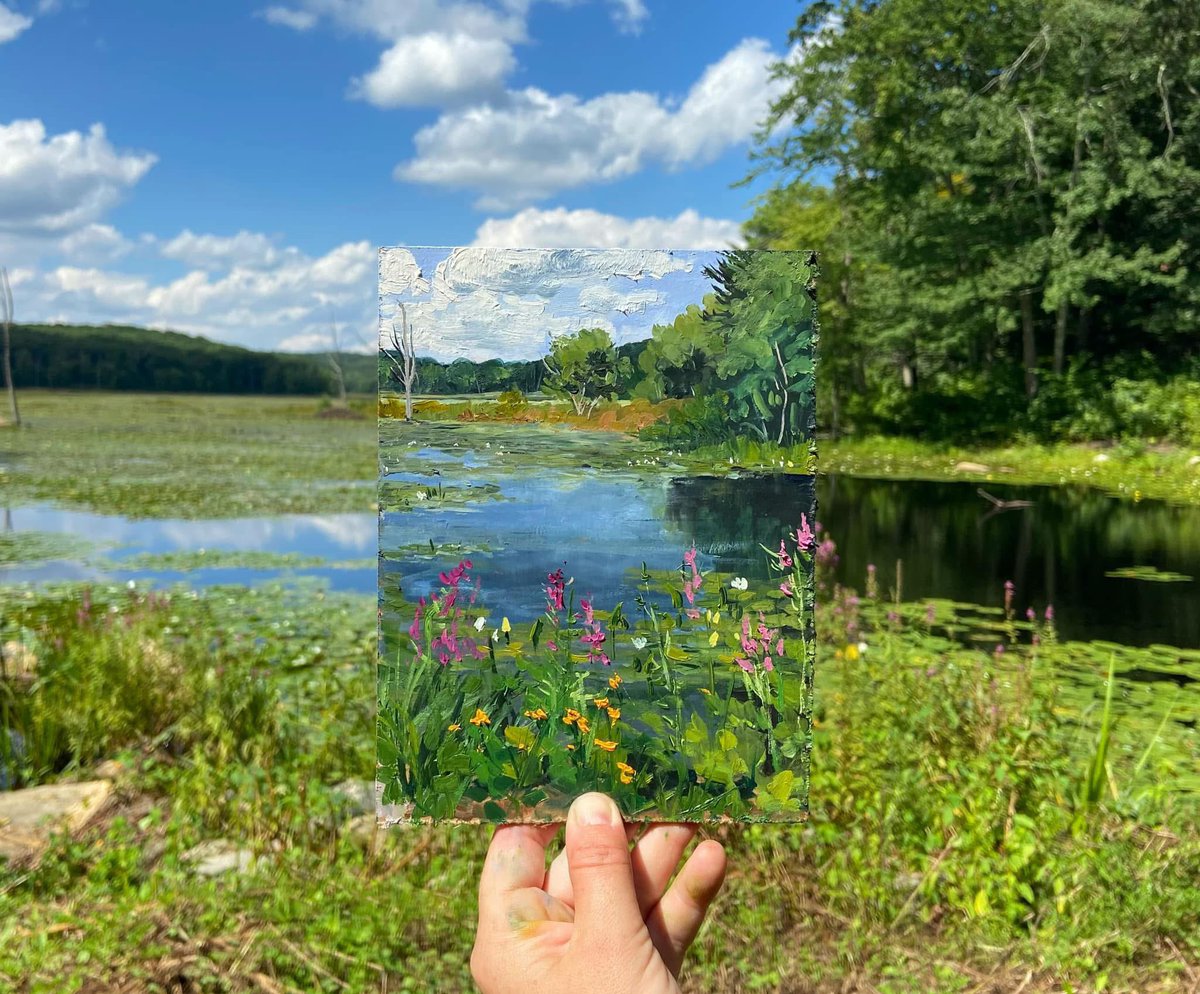 What I saw vs what I painted