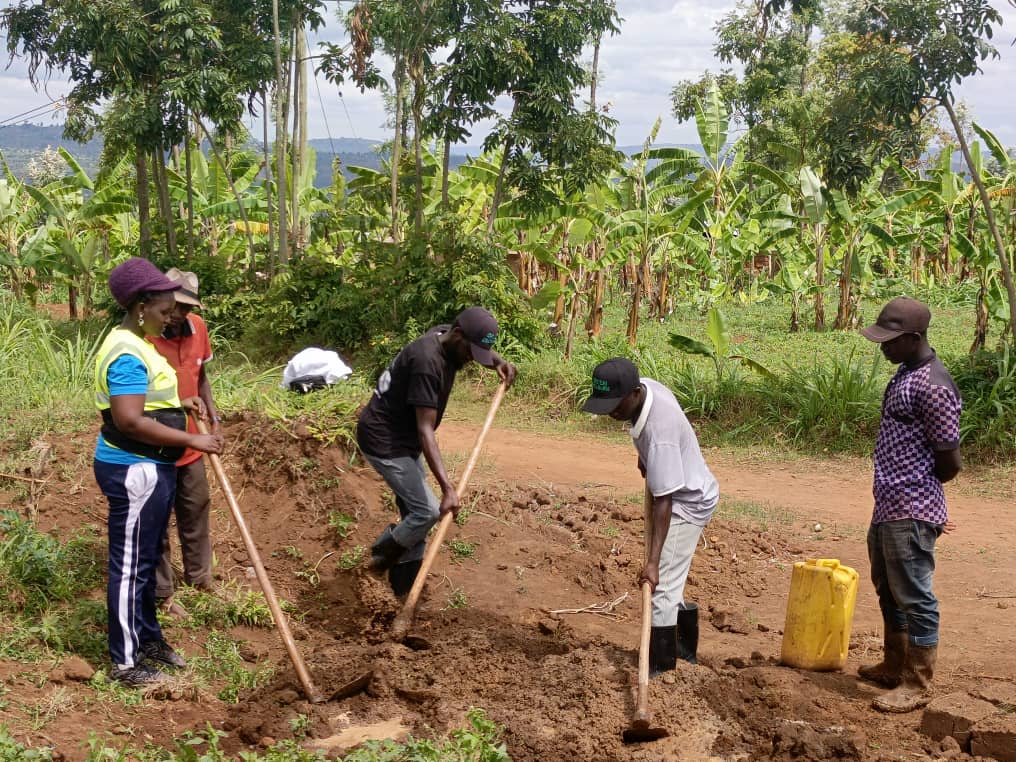 RYVCP GICUMBI District (@gicumbiryvcp) on Twitter photo Kuwa 22/03/025 urubyiruko <a href="/GicumbiDistrict/">Gicumbi District</a> kubufatanye n'ubuyobozi abaturage mumirenge yose twiyemeje kwishakama ibisubizo kubibazo bibangamiye imibereho myiza y'abaturage tubafasha kwibonera aho kuba hubakwa imirima y'imboga ndetse n'ubwiherero <a href="/RwandaYouthVol1/">Rwanda Youth Volunteers</a> <a href="/KubanaRichard/">Kubana Richard</a> Kuwa 22/03/025 urubyiruko <a href="/GicumbiDistrict/">Gicumbi District</a> kubufatanye n'ubuyobozi abaturage mumirenge yose twiyemeje kwishakama ibisubizo kubibazo bibangamiye imibereho myiza y'abaturage tubafasha kwibonera aho kuba hubakwa imirima y'imboga ndetse n'ubwiherero <a href="/RwandaYouthVol1/">Rwanda Youth Volunteers</a> <a href="/KubanaRichard/">Kubana Richard</a>