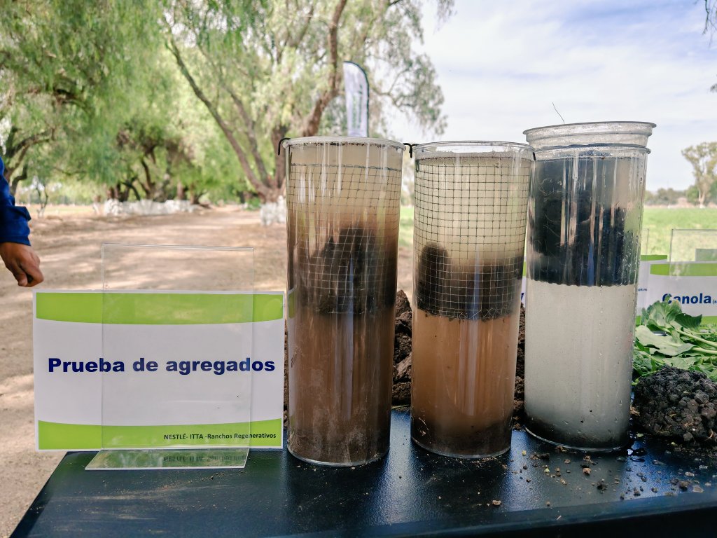 Paúl García Meza (@paulgarciameza) on Twitter photo En cuanto tiempo son visibles los cambios en la estructura del suelo cuando cambias de sistemas Convencionales a Regenerativos ?
En Bajío Mexicano, puedes ver los cambios en un año agrícola
<a href="/IttaAgronomy/">ITTA-AGRONOMY</a> En cuanto tiempo son visibles los cambios en la estructura del suelo cuando cambias de sistemas Convencionales a Regenerativos ?
En Bajío Mexicano, puedes ver los cambios en un año agrícola
<a href="/IttaAgronomy/">ITTA-AGRONOMY</a>