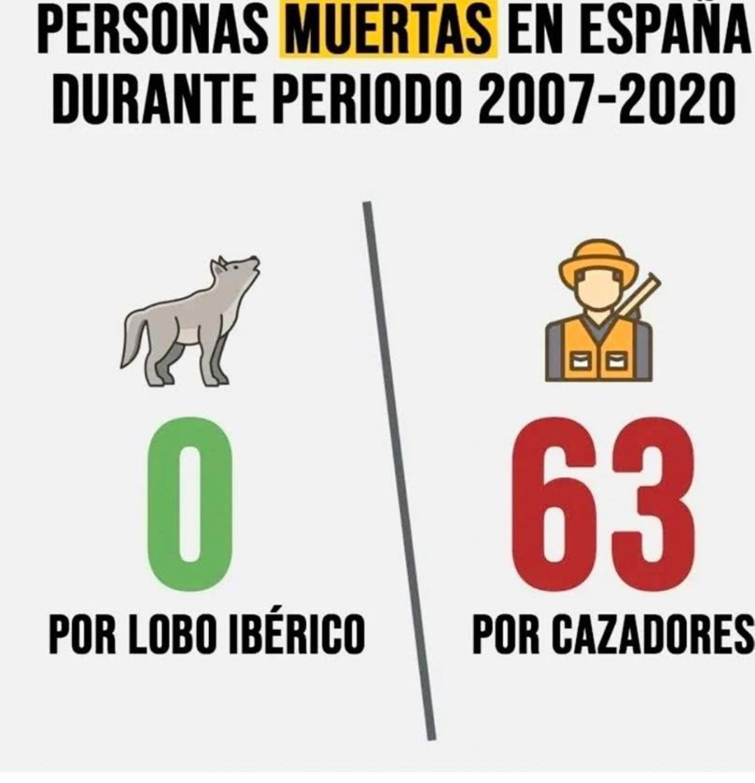 Capitan_Swing's tweet image. Información de utilidad.