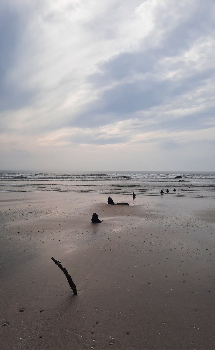 shamblesklutz's tweet photo. Lovely walk this morning. Grey. Weirdly warm. And barely another soul ❤️
#largobay #Fife #Scotland @VisitScotland https://t.co/O886n5o6hY