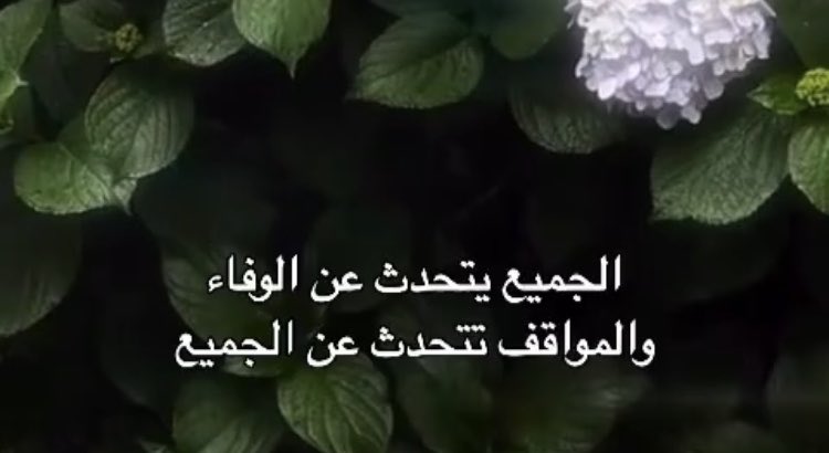 he8warned's tweet image. 