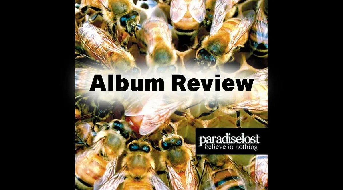 MusicToFeel tweet media