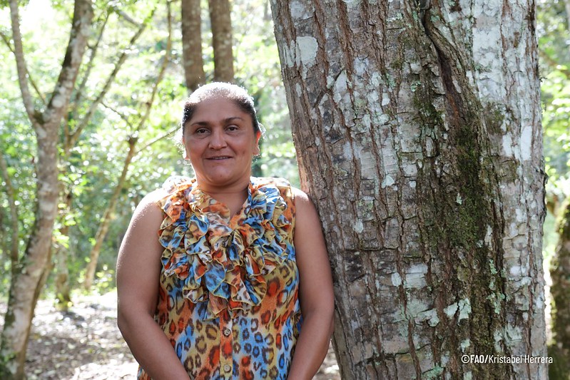 Con el proyecto <a href="/UNPeacebuilding/">United Nations Peacebuilding and Peace Support</a>  #MUCAMPAZ, realizado gracias a la inversión <a href="/GobiernoHN/">Gobierno de Honduras (Archivado)</a>  y que implementamos junto a <a href="/ICFHonduras/">ICF</a> , <a href="/onumujereshn/">ONU Mujeres Honduras</a> , <a href="/FAOHonduras/">FAO HONDURAS</a> , fortalecemos su resiliencia climática y liderazgo en la gobernanza forestal🌍