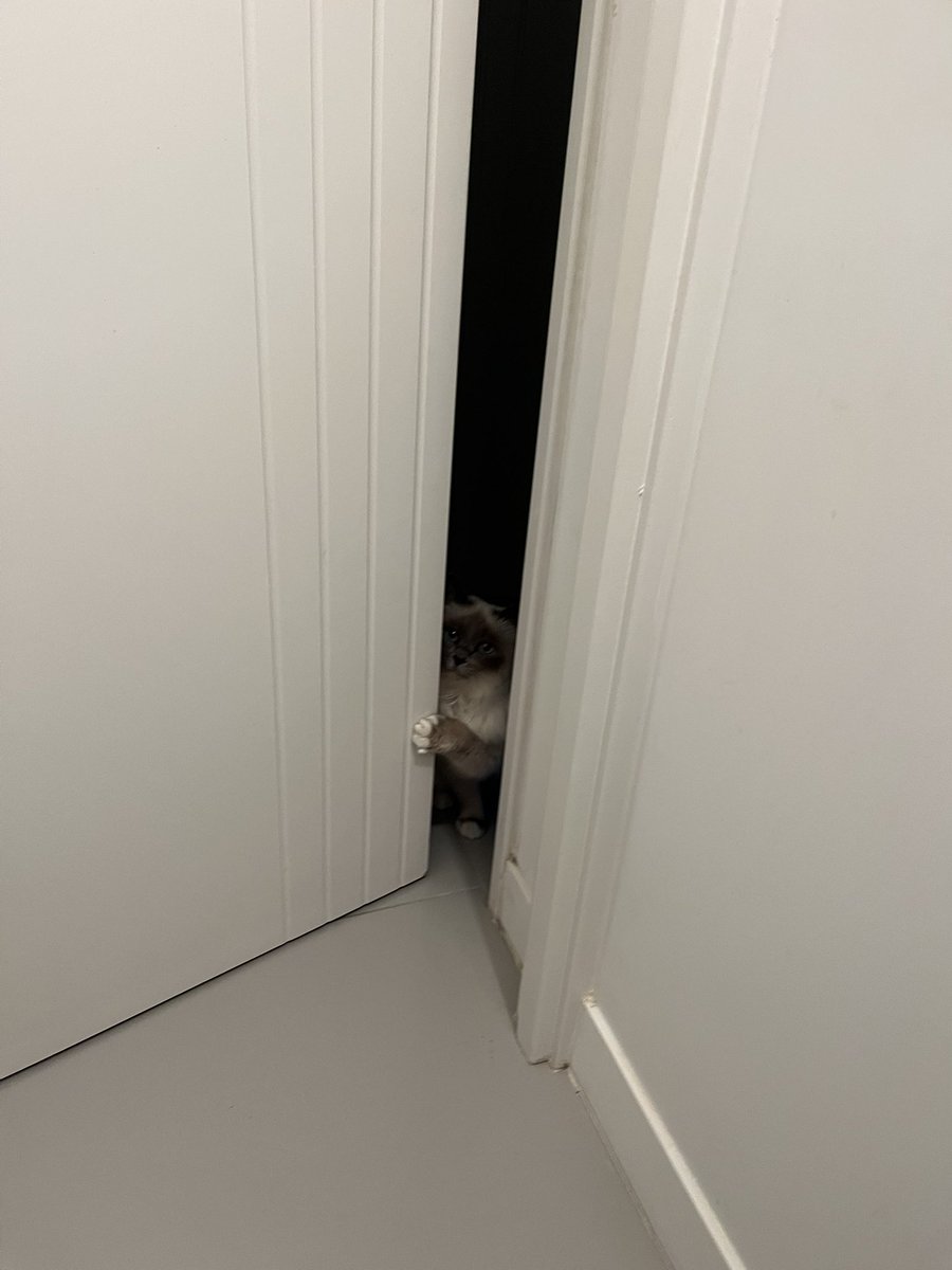 On peut aller aux toilettes tranquille ouuuuuu