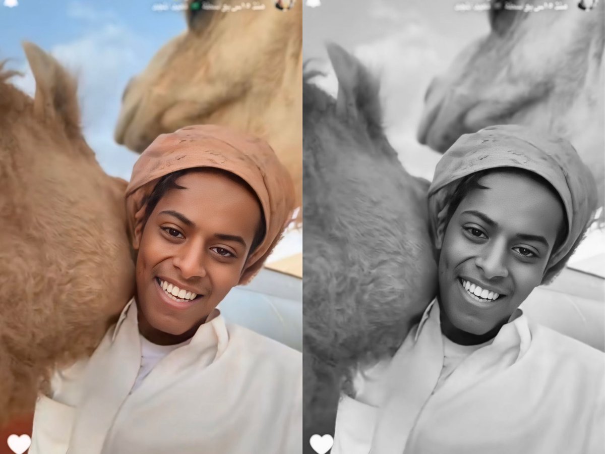 حب البل لراعيها 🥺❤️‍🔥❤️‍🔥❤️‍🔥❤️‍🔥
#قعيد 
#قعيد_المجد 
<a href="/y3050_/">‏قعيد المجد🇸🇦</a>