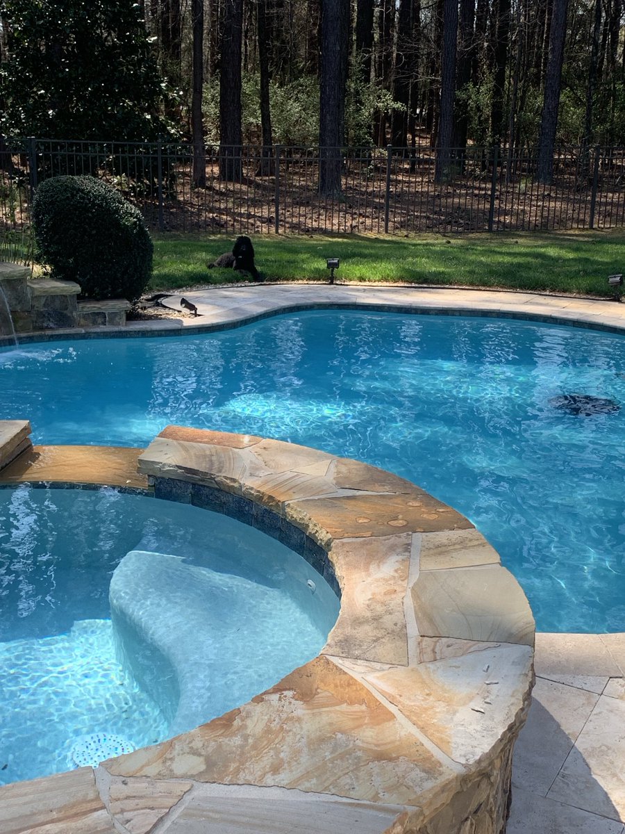 My pup is enjoying a NC spring day!