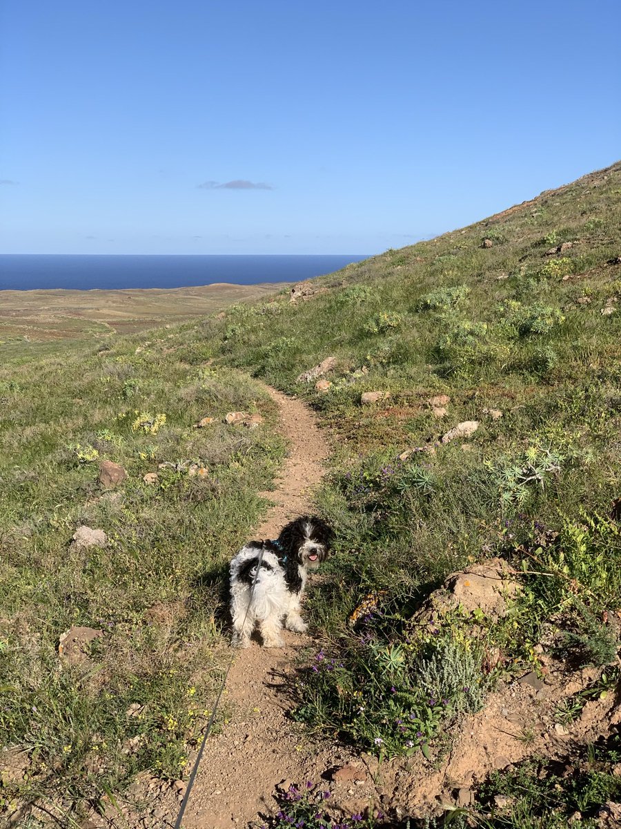 Rosasrush tweet media