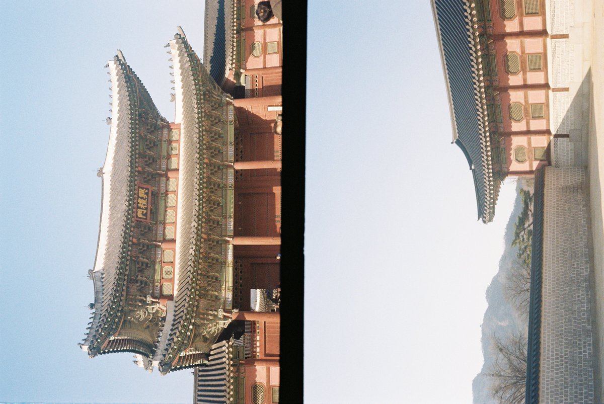 r0sematcha's tweet photo. my new olympus half frame camera &amp; seoul in february 📷🎞️☁️ 

#archivetwt #lifetwt https://t.co/FzNwBLeAE3