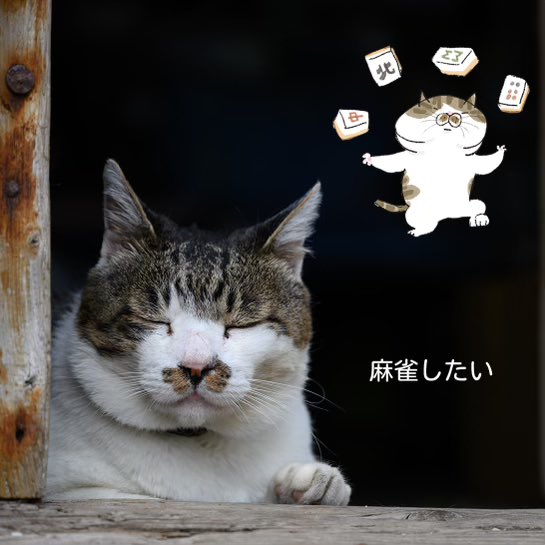 sapporo_comet's tweet image. おはようございます🌞
本日も元気に営業してます。
本日の営業はセット麻雀(貸卓)のみの営業となります。
自動配牌の卓空いてます。
土日の麻雀はコメットで!
#麻雀 #札幌市中央区 #セット麻雀 #貸卓 #健康麻雀 #アモスレックス3 #麻雀教室 #雀荘 #ボス猫ケンジ