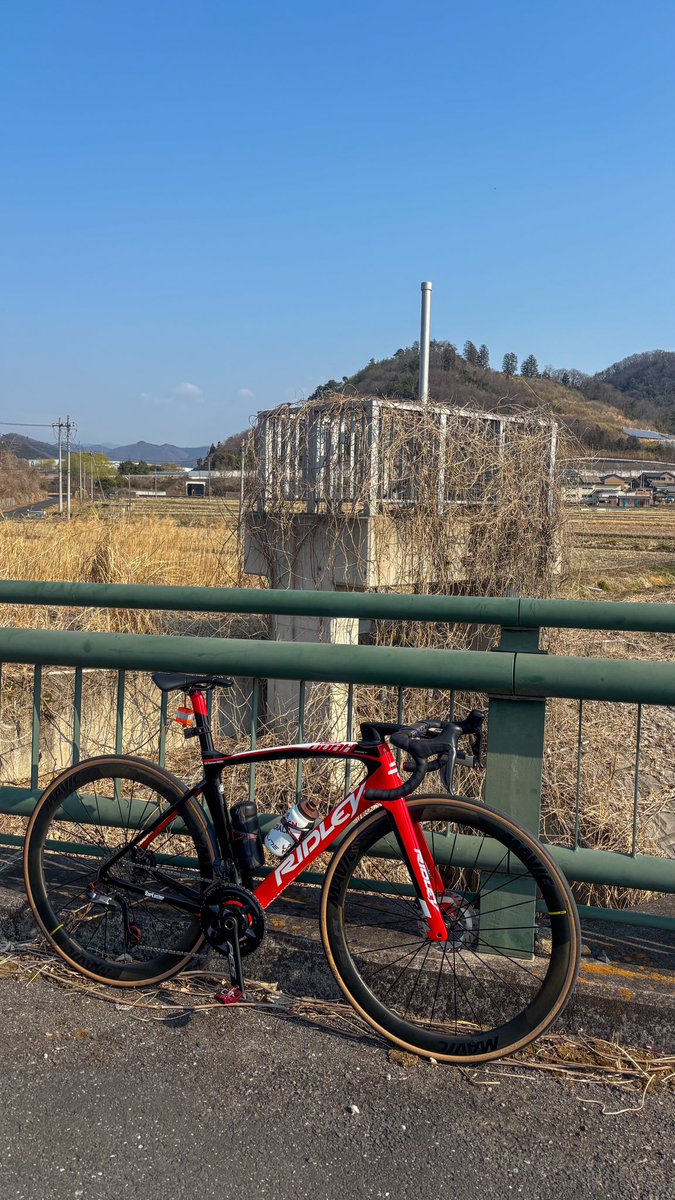 Matthew62945438's tweet photo. 2025.3.23
RIDLEY Noah Fast
Morning cycling
#ロードバイク乗りと繋がりたい #ロードバイク好きな人と繋がりたい #ロードバイク #RIDLEY #RIDLEYBike #NoahFast #라이딩 #Mavic #Morning #朝 https://t.co/Jw5kKxOdh0